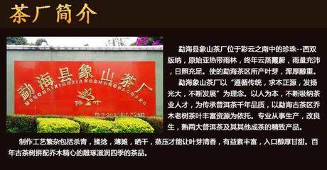 象山茶廠招商加盟信息